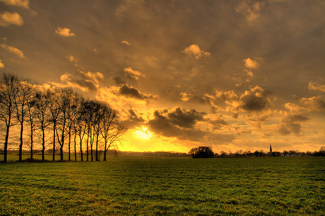 Hovenier in Overijssel